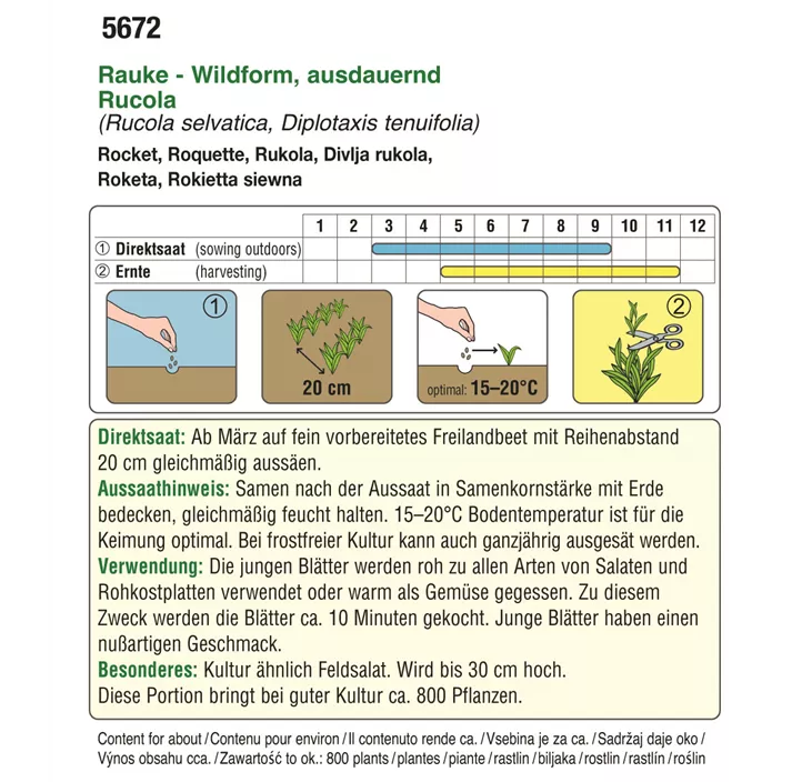 BIO Rucola selvatica