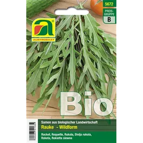 BIO Rucola selvatica