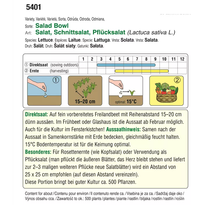 BIO Schnittsalat Salad Bowl