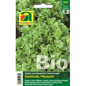 BIO Schnittsalat Salad Bowl