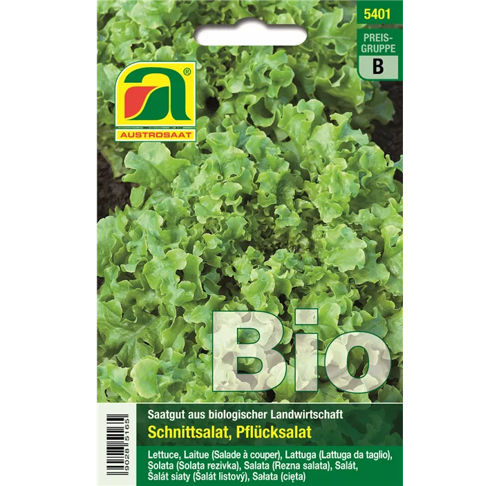 BIO Schnittsalat Salad Bowl