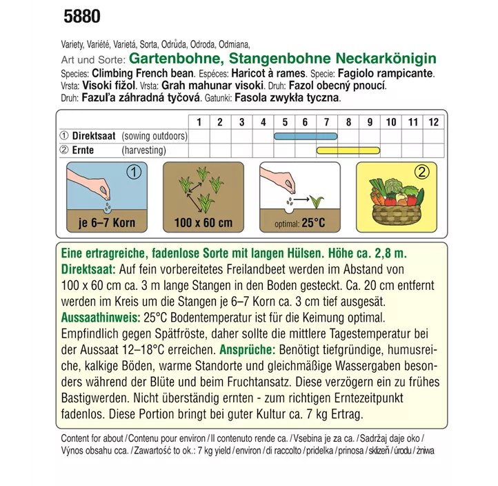 BIO Stangenbohnen Neckarkönigin