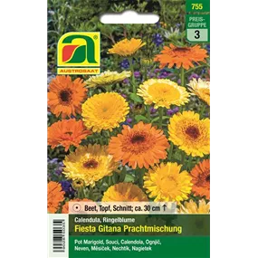 Calendula Fiesta Gitana Prachtmischung