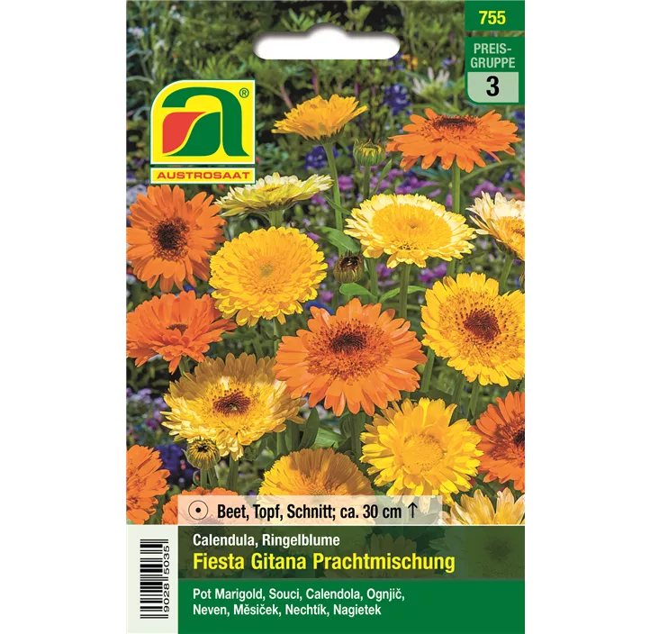 Calendula Fiesta Gitana Prachtmischung