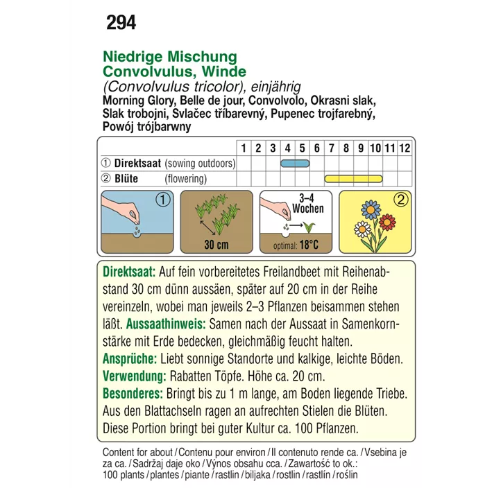 Convolvulus tricolor