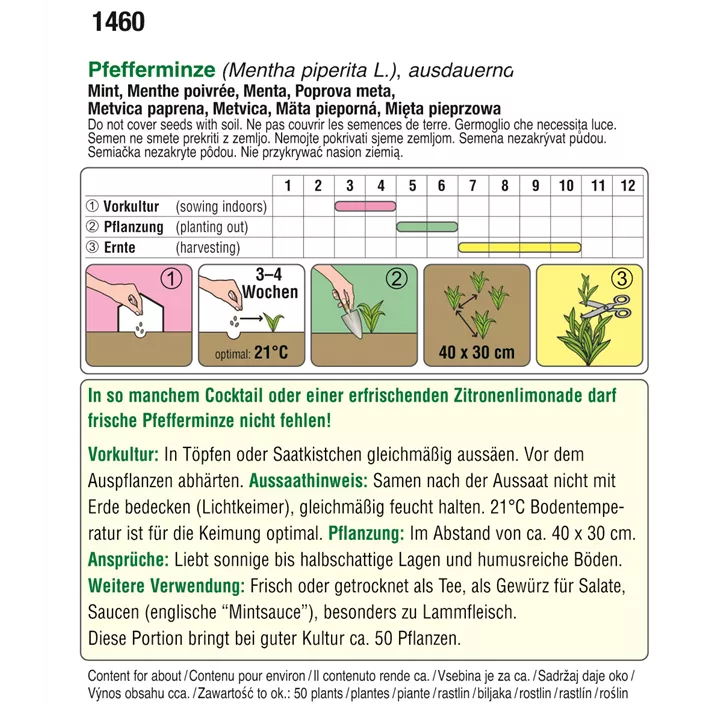 Cocktail Minze Pfefferminze Gourmet Edition