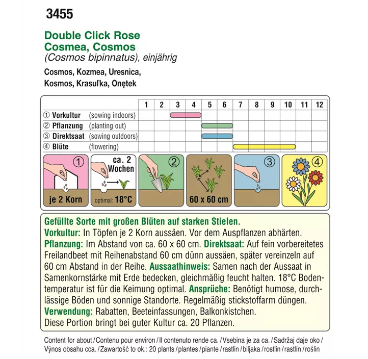 Cosmos Double Click Rose