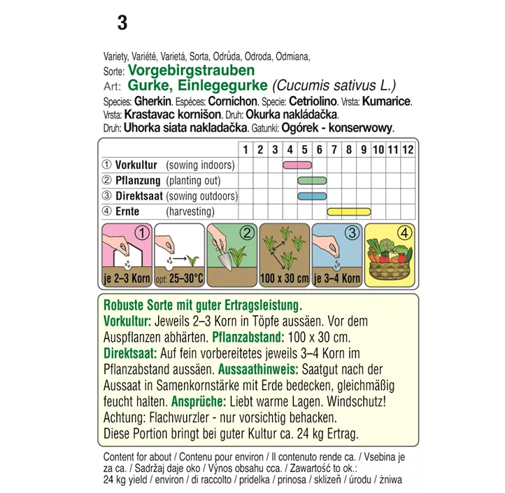 Einlegegurke Vorgebirgstrauben