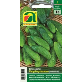 Einlegegurke Vorgebirgstrauben