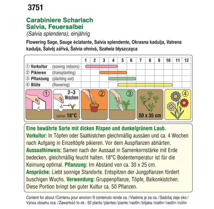 Feuersalbei Carabinere Scharlach