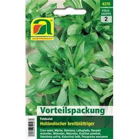Feldsalat Holländer breitblättriger