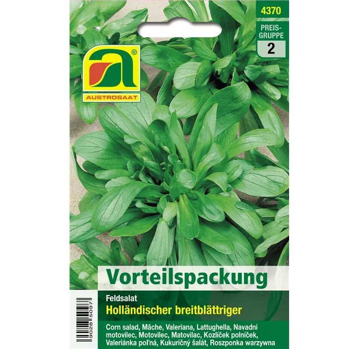 Feldsalat Holländer breitblättriger