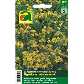 Hypericum perforatum Johanniskraut