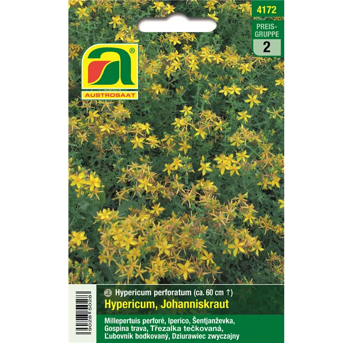 Hypericum perforatum Johanniskraut