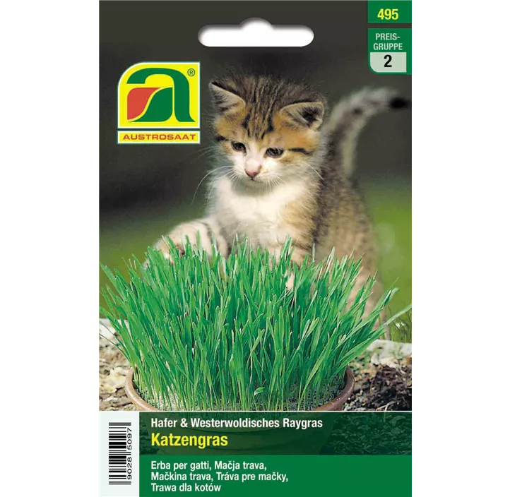 Katzengras Hafer&Raygras