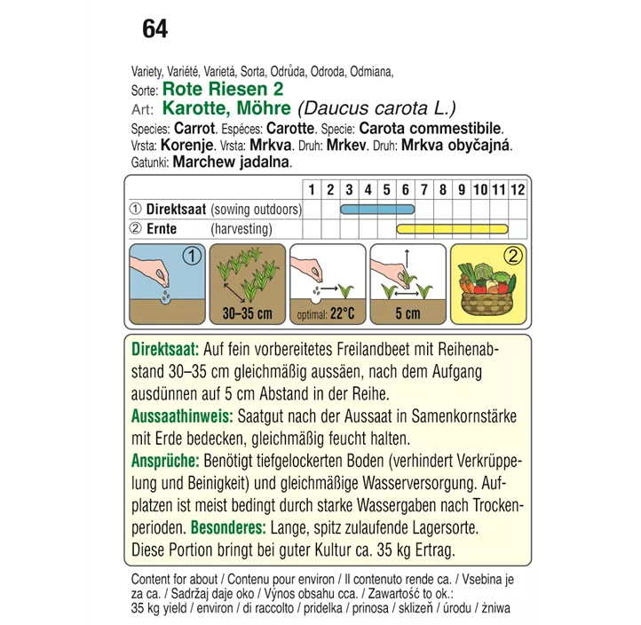 Karotte lang Rote Riesen 2