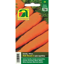 Karotte lang Rote Riesen 2
