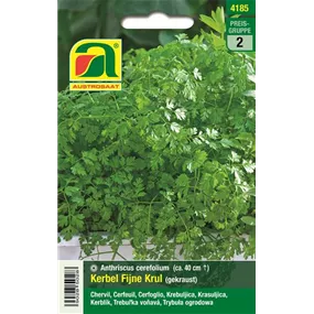 Kerbel Fijne Krul gekraust