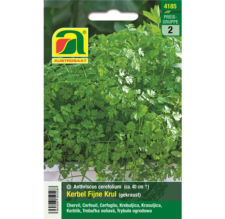 Kerbel Fijne Krul gekraust