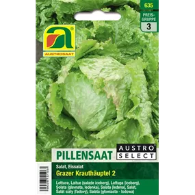 Kopfsalat pilliert Grazer Krauthäuptl