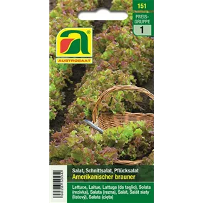 Pflücksalat amerikanischer Brauner