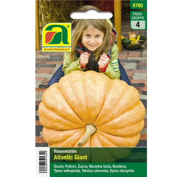 Riesenkürbis Atlantic Giant