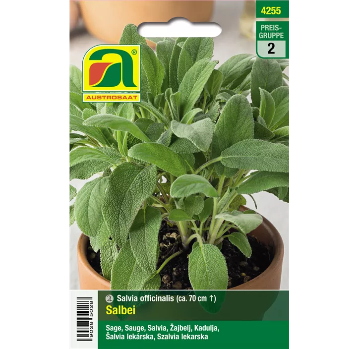 Salbei