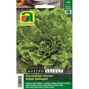 Schnittsalat Grüner Eishäuptel