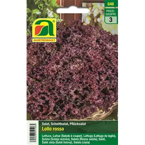 Schnittsalat Lollo Rossa