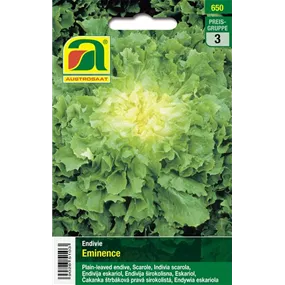 Winterendivie Eminence