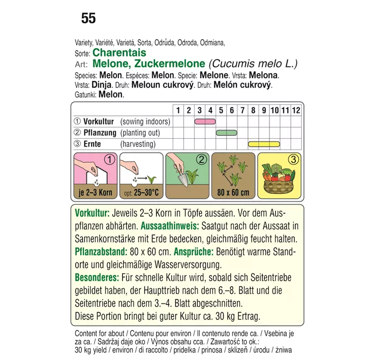 Zuckermelone Charentais