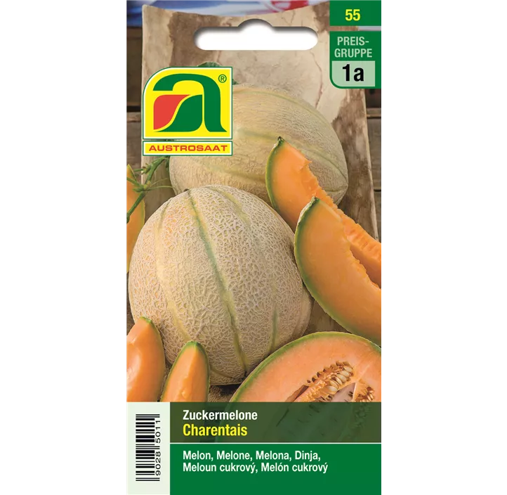 Zuckermelone Charentais