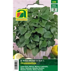 Zitronenmelisse