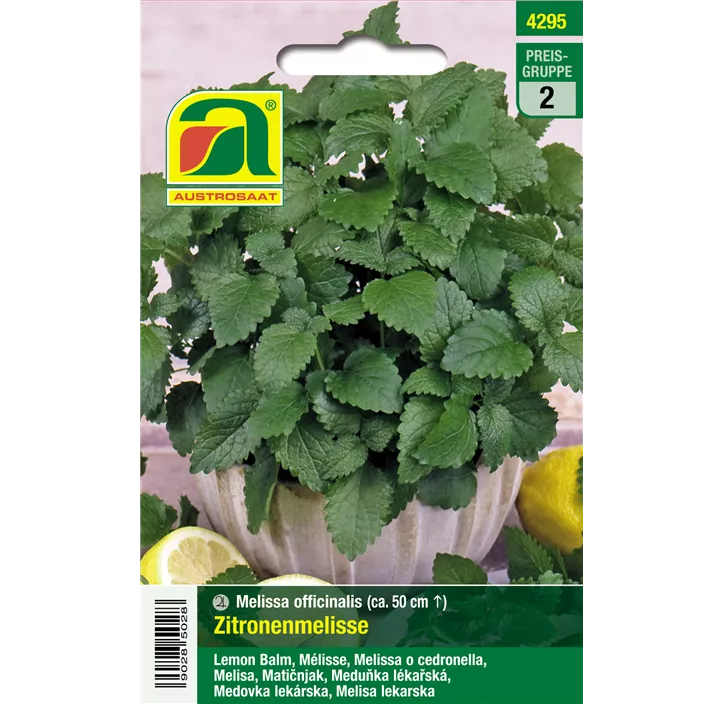 Zitronenmelisse