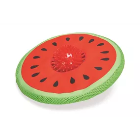 Hundespielzeug Melon Spikie