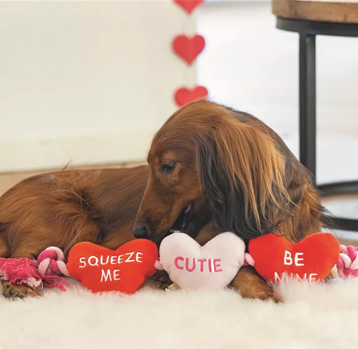 Hundespielzeug Seil Flossy Love