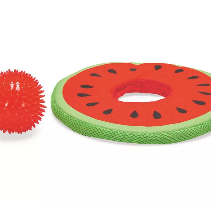 Hundespielzeug Melon Spikie