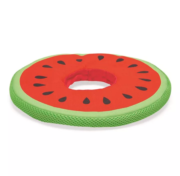 Hundespielzeug Melon Spikie