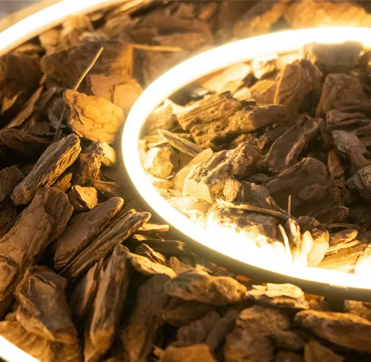 Lichtring für Pflanztopf