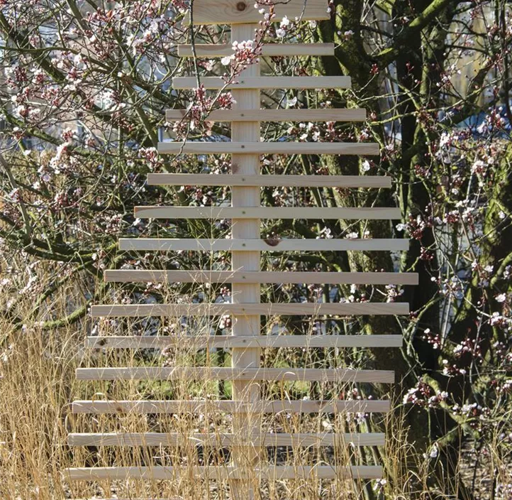 Rankhilfe Fraxinus-Blatt