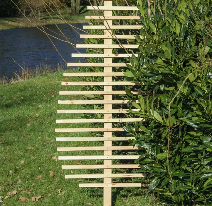 Rankhilfe Fraxinus-Blatt