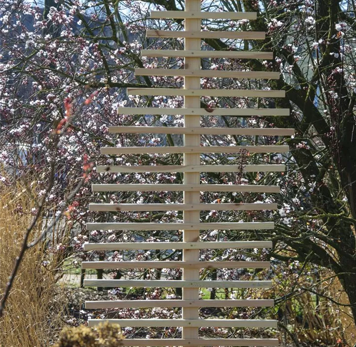 Rankhilfe Fraxinus-Blatt