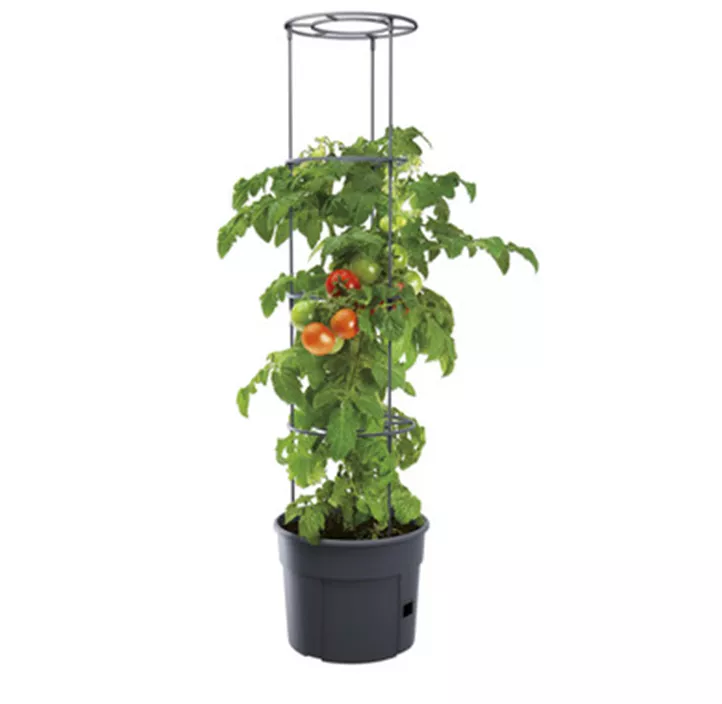 Tomatentopf HOME GROWER inkl. Rankhilfe