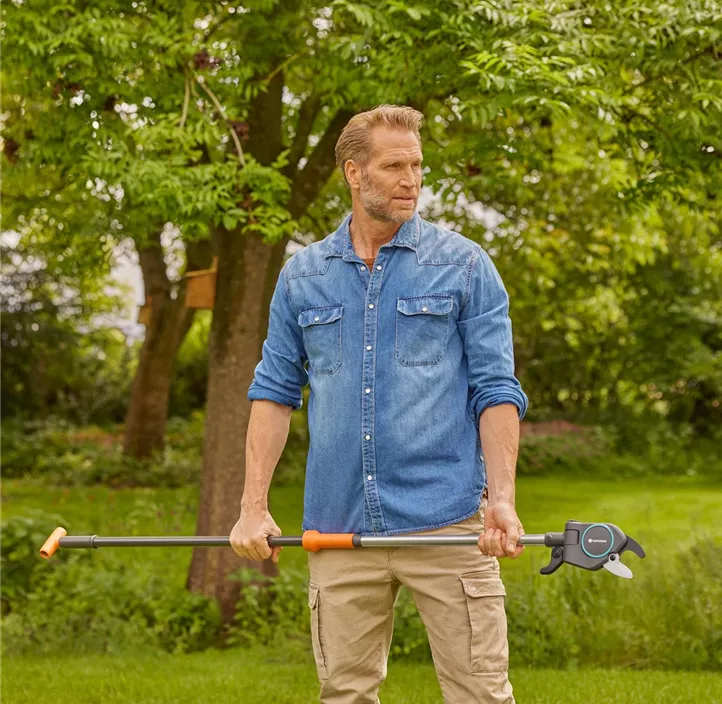 Baum- und Strauchschneider StarCut Pro S