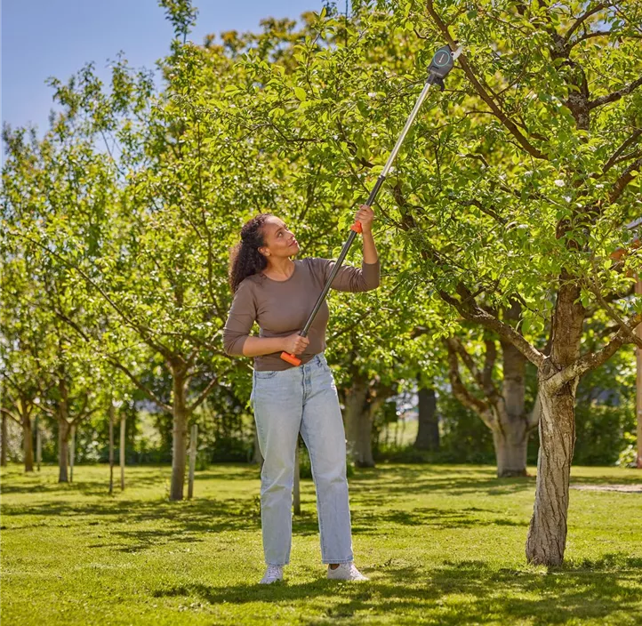 Baum- und Strauchschneider StarCut Pro S