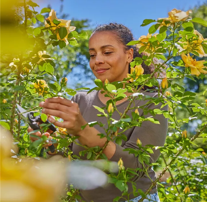 Gartenschere PremiumCut Flex