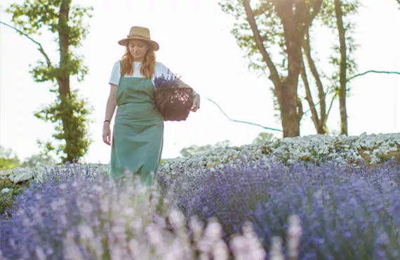 Future Dusk - Frau geht durch Lavendelfeld