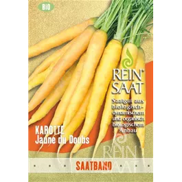 Karotte Jaune du Doubs Selektion
