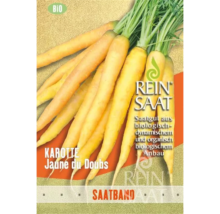 Karotte Jaune du Doubs Selektion