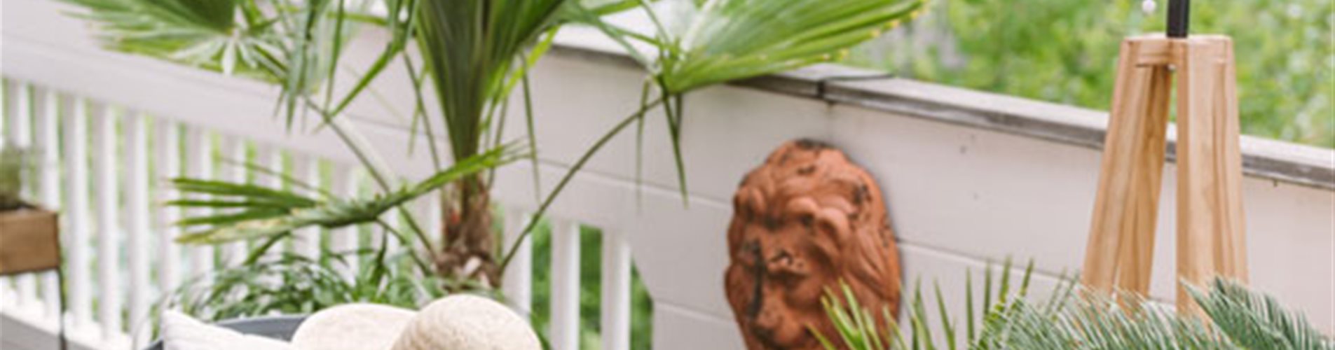 grüne palmen auf einem balkon